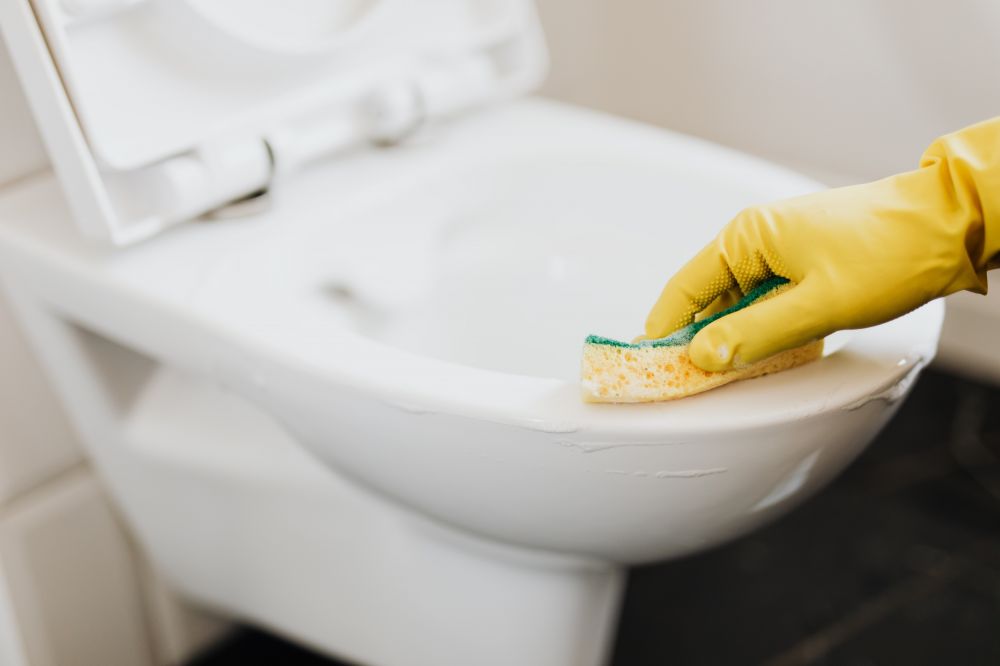Nettoyer ses WC : conseils et astuces de nettoyage - M6