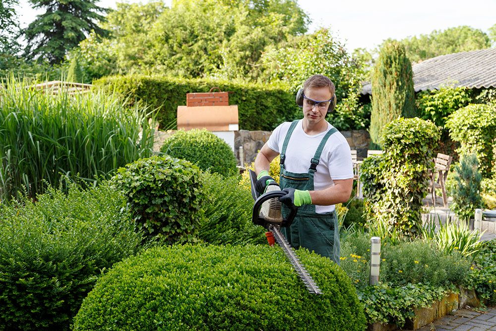 Jardinage à domicile